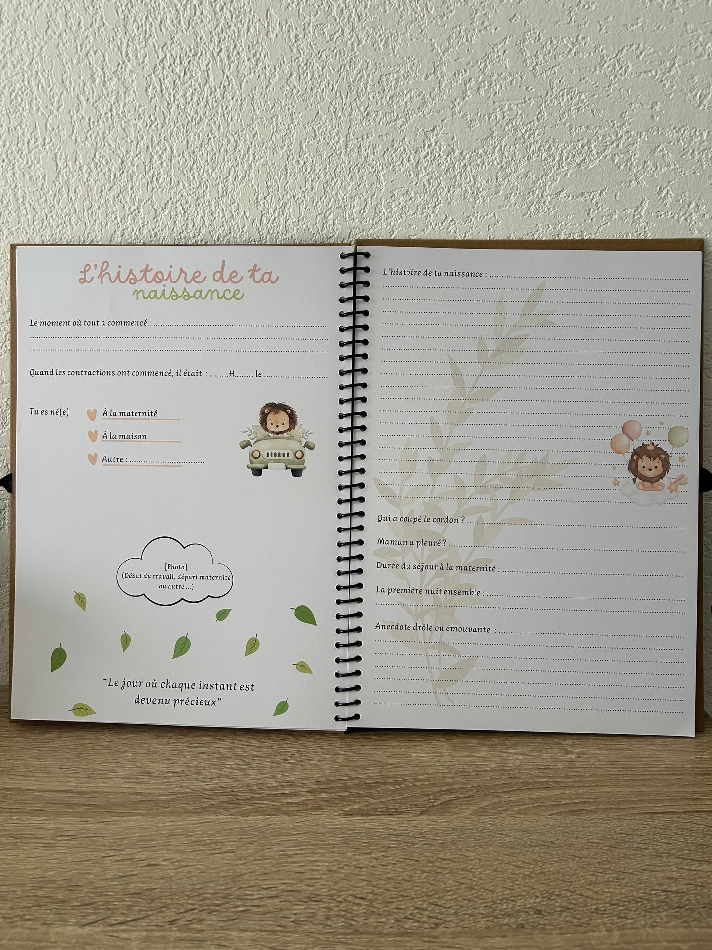Album Souvenirs - Maman Solo - Parcours PMA